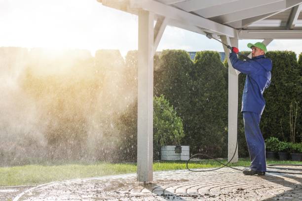 Best Paint Preparation  in Sunflower, MS